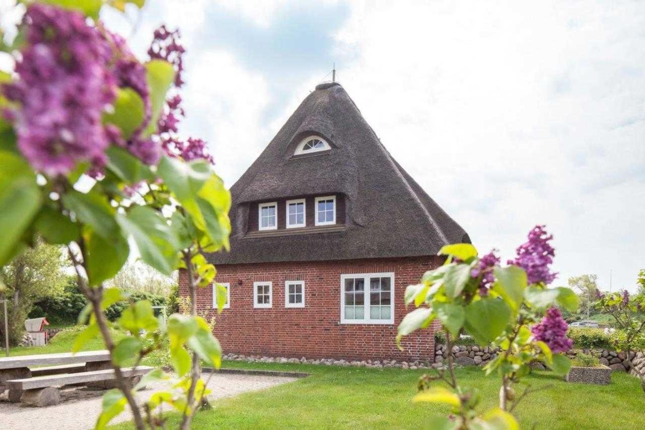FEWO Ringelblume List auf Sylt Exterior foto